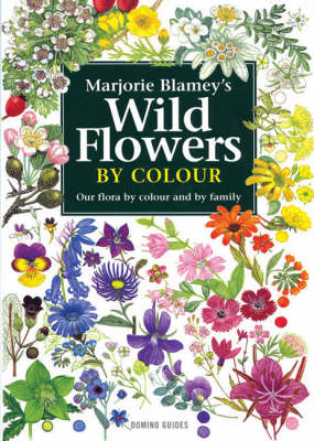 Wild Flowers by Colour