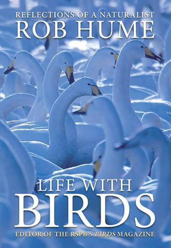 Rob Hume, Life with Birds