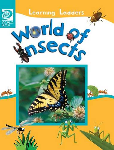 World of Insects