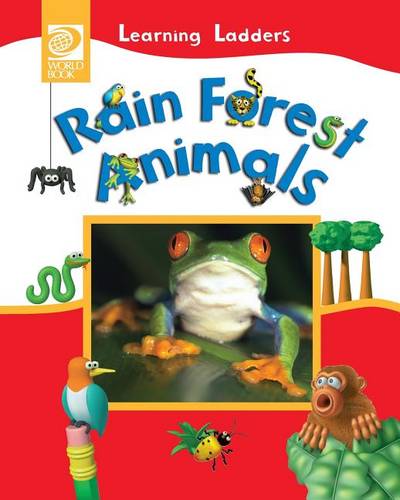 Rain Forest Animals