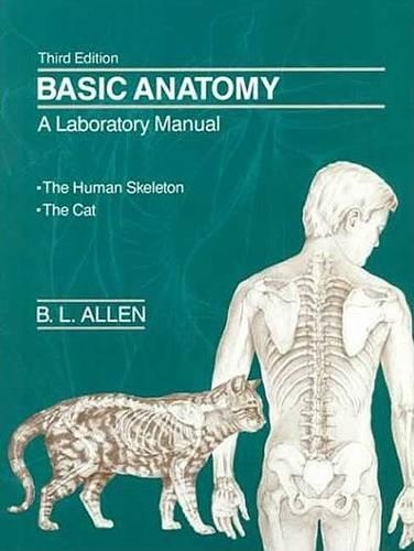 Basic Anatomy