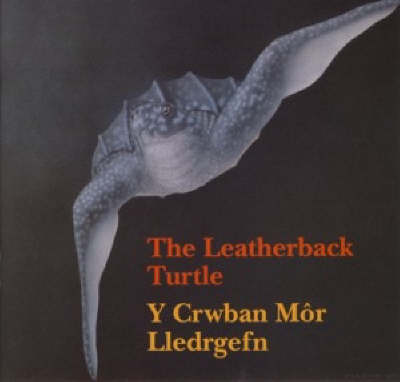 The Leatherback Turtle