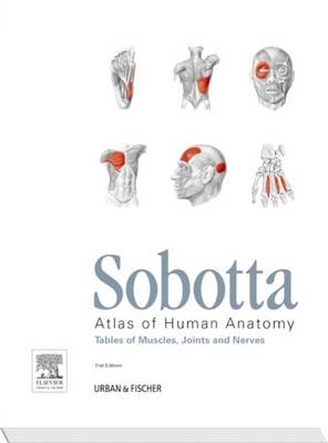 Sobotta Tables of Muscles, Joints and Nerves, English/Latin