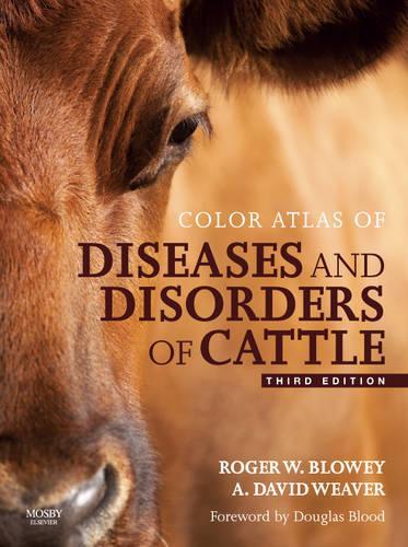 Color Atlas of Diseases and Disorders of Cattle Text and Evolve eBooks Package