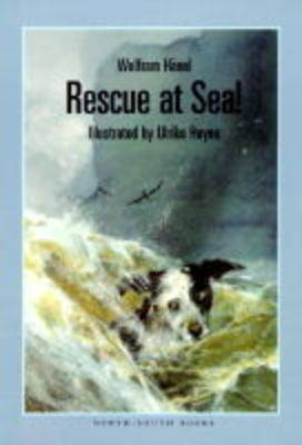 Rescue at Sea!