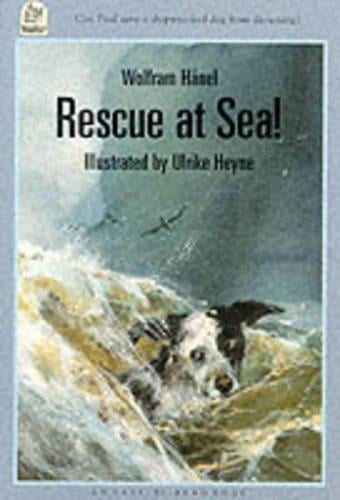 Rescue at Sea!