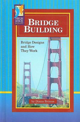 Bridge Building