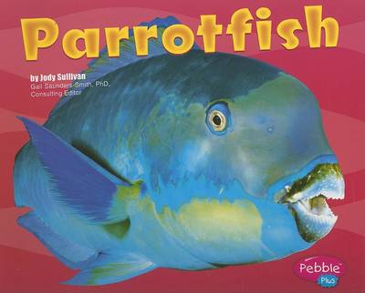 Parrotfish
