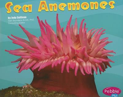 Sea Anemones