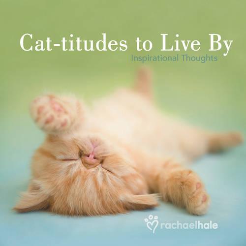 Cat-titudes to Live By