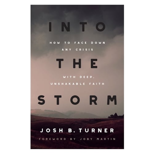 Into the Storm