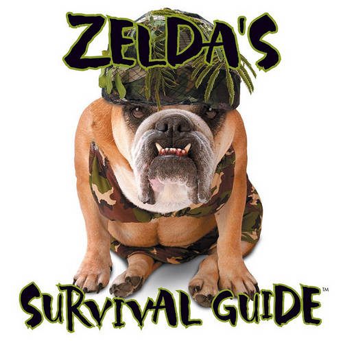 Zelda's Survival Kit