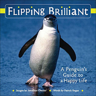 Flipping Brilliant
