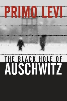 The Black Hole of Auschwitz