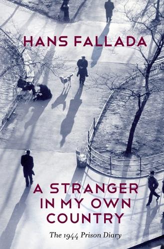 A Stranger in My Own Country