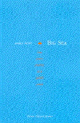 Small Boat, Big Sea