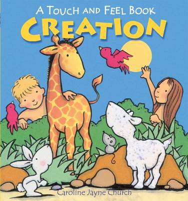 Creation Touch and Feel