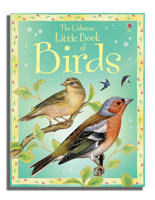 Little Book of Birds