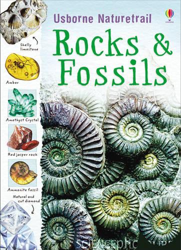Rocks and Fossils