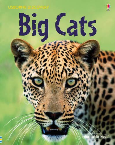 Discovery Big Cats