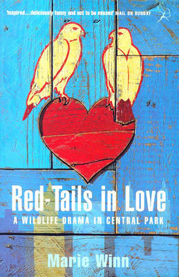 Red-tails in Love