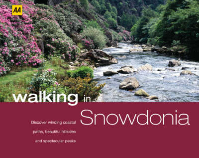 Snowdonia