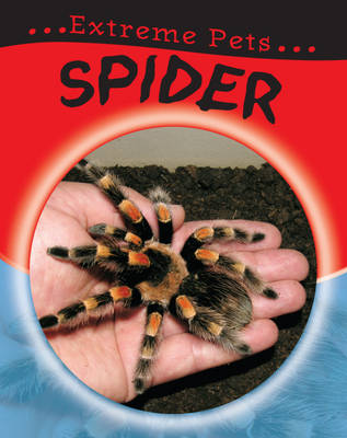 Spider