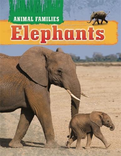 Animal Families: Elephants