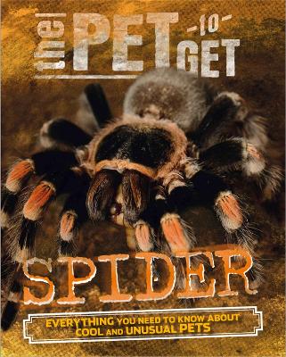 The Pet to Get: Spider