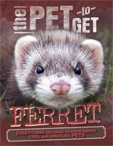 The Pet to Get: Ferret