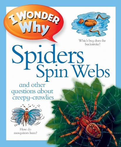 I Wonder Why Spiders Spin Webs