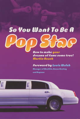 So You Want To Be A Popstar