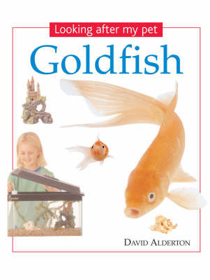 Goldfish