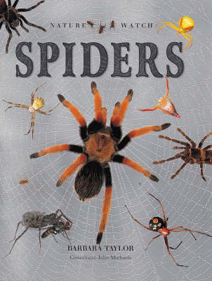 Spiders