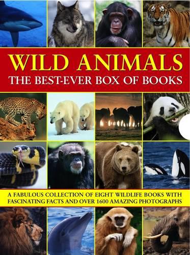 Wild Animals