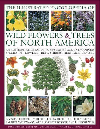 The Illustrated Encyclopedia of Wild Flowers & Trees of North America