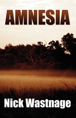Amnesia