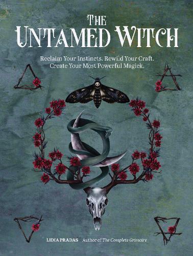 The Untamed Witch