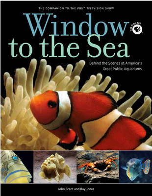Window to the Sea