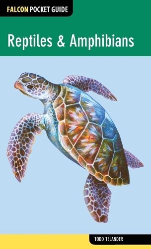 Reptiles & Amphibians