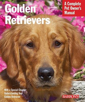 Golden Retrievers