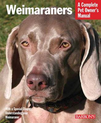 Weimaraners