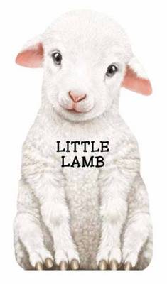 Little Lamb