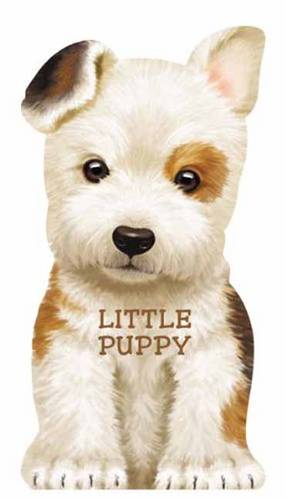 Little Puppy
