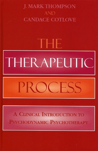 The Therapeutic Process