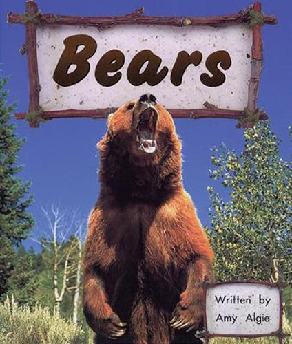 Bears (4)