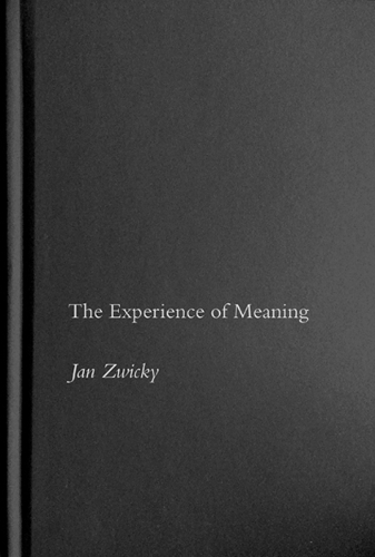 The Experience of Meaning
