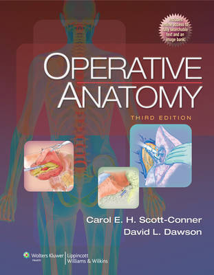 Operative Anatomy