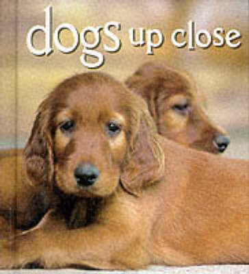 Dogs Up Close