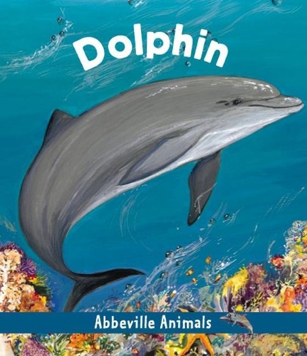 Dolphin: Abbeville Animals